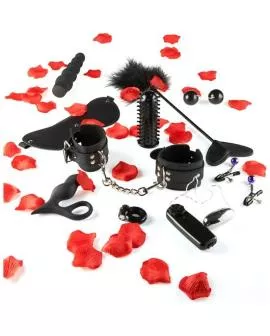 TOYJOY - Nur für Sie Erotisches Spielzeug Starter-Kit