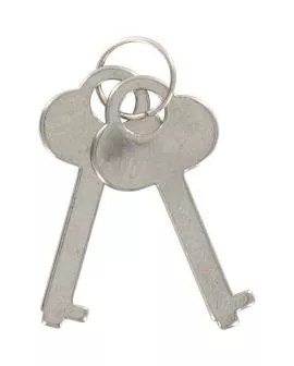 TOYJOY Metall-Manschetten - Erotische Bondage Fesseln