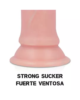 ROCKARMY Dual Density Sherman Dildo - 24 cm Länge 4,62 cm