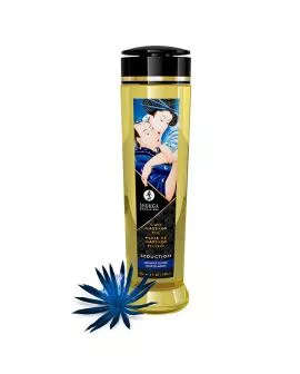 SHUNGA - VERFÜHRUNG EROTISCHES MASSAGEÖL 240 ML