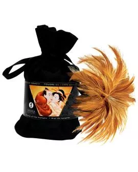 SHUNGA Sweet Kisses Collection Kit - Erotik-Set