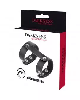 DARKNESS - VERSTELLBARER PENIS- UND HODENRING AUS LEDER