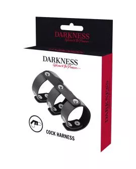 DARKNESS - Verstellbarer Doppel-Penis- und Hodenring aus Leder
